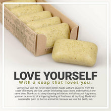Load image into Gallery viewer, Baudelaire Exfoliating Soap, Sea Loofa Bath Soap &amp; Body Soap 6 Pack of 5 Oz Bars, Natural Soap, Triple Milled with 100% Natural Fragrance, 2% Seaweed and Sustainable Palm Oil
