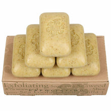 Load image into Gallery viewer, Baudelaire Exfoliating Soap, Sea Loofa Bath Soap &amp; Body Soap 6 Pack of 5 Oz Bars, Natural Soap, Triple Milled with 100% Natural Fragrance, 2% Seaweed and Sustainable Palm Oil
