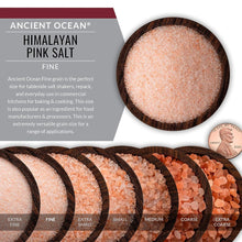 Load image into Gallery viewer, SaltWorks Ancient Ocean Himalayan Pink Salt, Fine, Artisan Shaker Jar, Mineral Salt, 6 Oz
