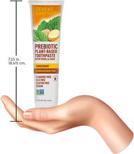 Load image into Gallery viewer, Desert Essence Gingermint Prebiotic Flouride Free Vegan Toothpaste  6.25 fl oz
